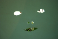 48_on-rop4.jpg